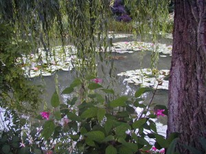 Colour Photograph of 'Water Lilies & Willow Tree' in Claude Monet's Garden at Giverny, Normandy.  Taken by CJ Walsh.  2004-08-29.