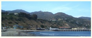 Colour photograph, extracted from the Project Fact Sheet (available to download from the 'Leaves in the Wind' WebSite), showing the view from Surfrider Beach of The Edge's Proposed 5 House Coastal Development in Malibu, California. The hilltop locations of 4 of the houses are indicated by white arrows. Where is the last house ? Click to enlarge.