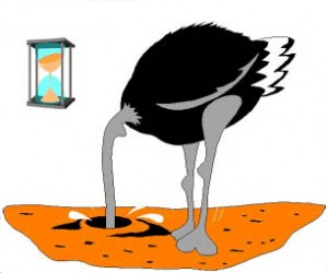 Colour image showing an Ostrich with its Head in the Sand ... an accurate description of the International 'Technical' Reaction to the 9-11 WTC Incident ... "it never happened" ... or "it was a unique event, and it will never happen again" ... or "this unusual event only has implications for very, very, very tall buildings" ... blah, blah, blah !!